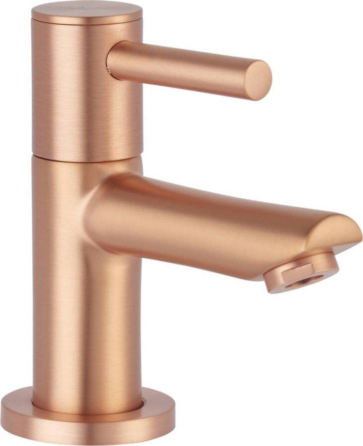 Saqu Shine Fonteinkraan 10.40 cm Koper Toiletkraan Koudwaterkraan WC Kraan