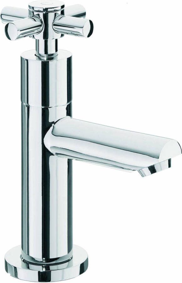 Saqu X-grip Fonteinkraan 14.00 cm Chroom Toiletkraan Koudwaterkraan WC Kraan