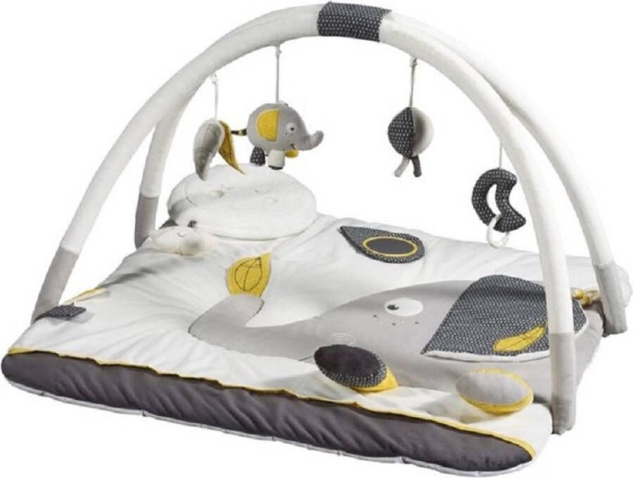 Sauthon Speelkleed Activiteitenmat Speelmat Babygym Baby Fan Baby Kleuter Veel zintuiglijke activiteiten Verwijderbare stokken Eenvoudige montage Draagtas Speeltjes kunnen ook los gebruikt worden