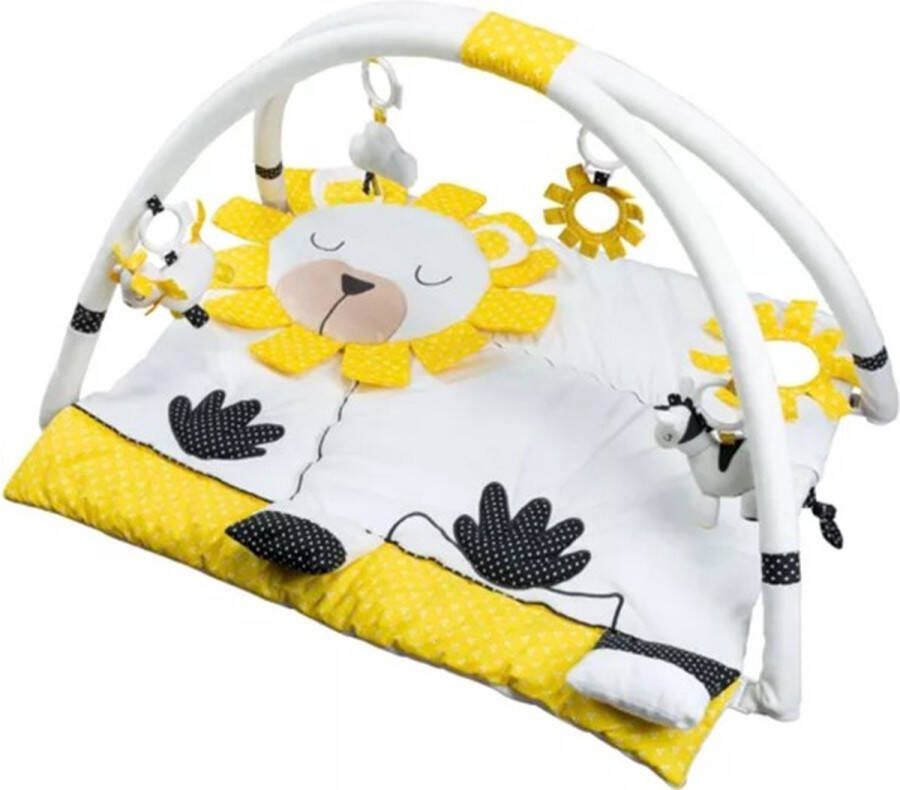 Sauthon Speelkleed Activiteitenmat Speelmat Babygym Pluche et Pompom Baby Kleuter Veel zintuiglijke activiteiten Verwijderbare stokken Eenvoudige montage Draagtas Speeltjes kunnen ook los gebruikt worden