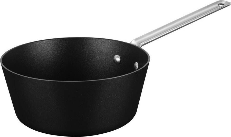 Scanpan TechnIQ steelpan 22 cm 2 4 ltr