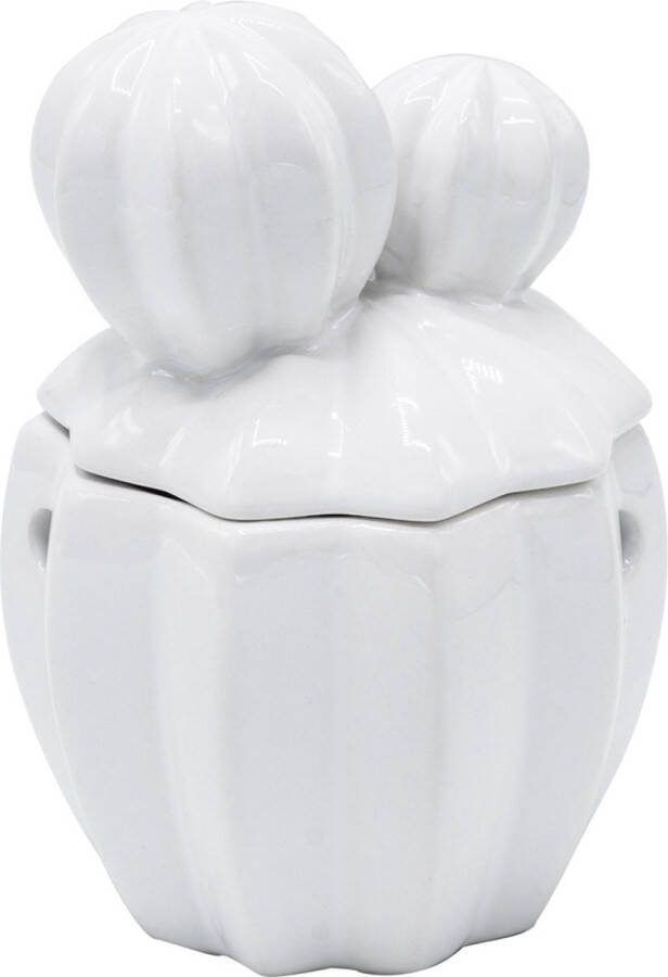Scentchips Cactus Wit waxbrander geurbrander