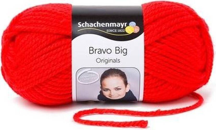 Schachenmayr Bravo Big 200 Gram 132
