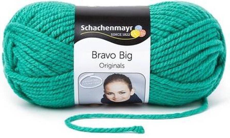 Schachenmayr Bravo Big 200 Gram 170