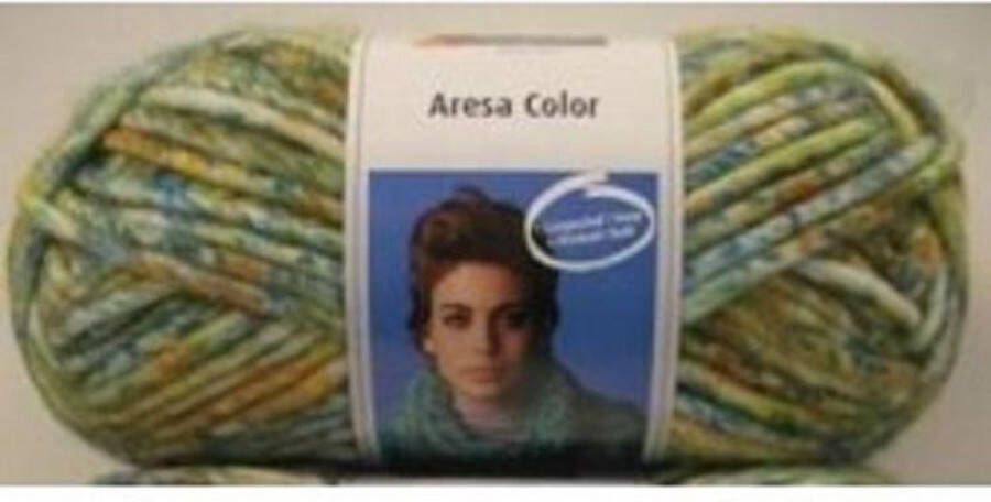 Schachenmayr Bravo Big Aresa Color Kleur 00085