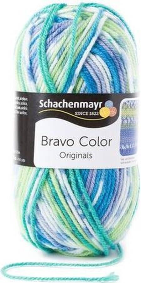 Schachenmayr Bravo Color 50 Gram 2080