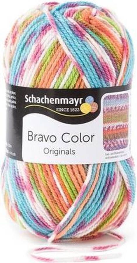 Schachenmayr Bravo Color 50 Gram 2081
