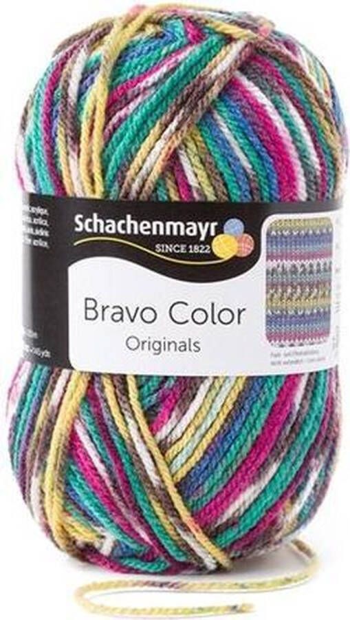 Schachenmayr Bravo Color 50 Gram 2084
