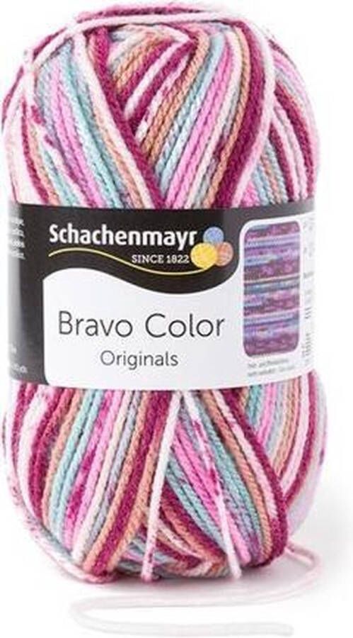Schachenmayr Bravo Color 50 Gram 2086