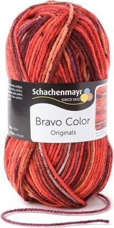 Schachenmayr Bravo Color 50 Gram 2087