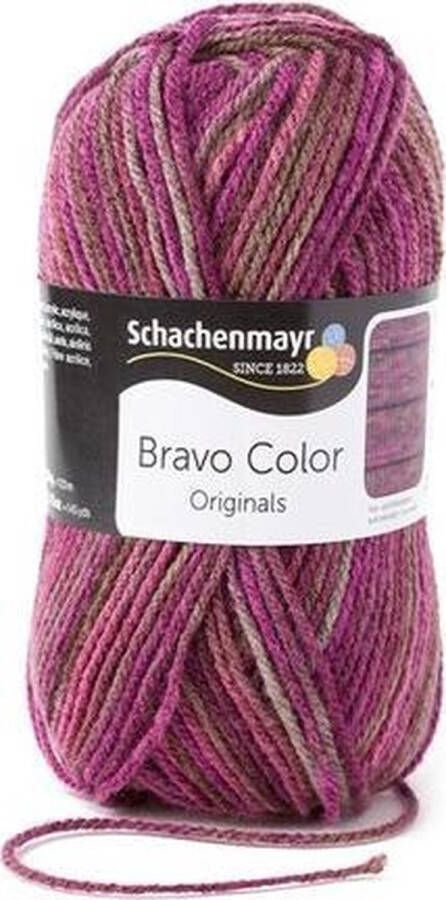 Schachenmayr Bravo Color 50 Gram 2088