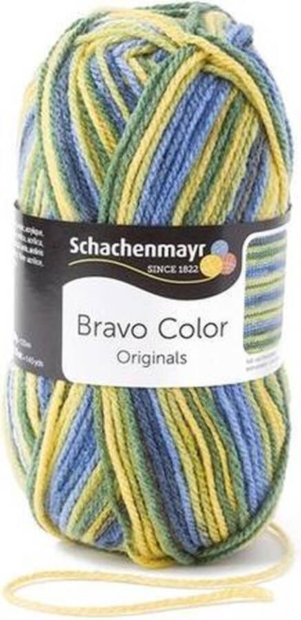 Schachenmayr Bravo Color 50 Gram 2093