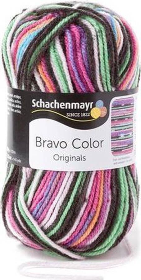Schachenmayr Bravo Color 50 Gram 2094