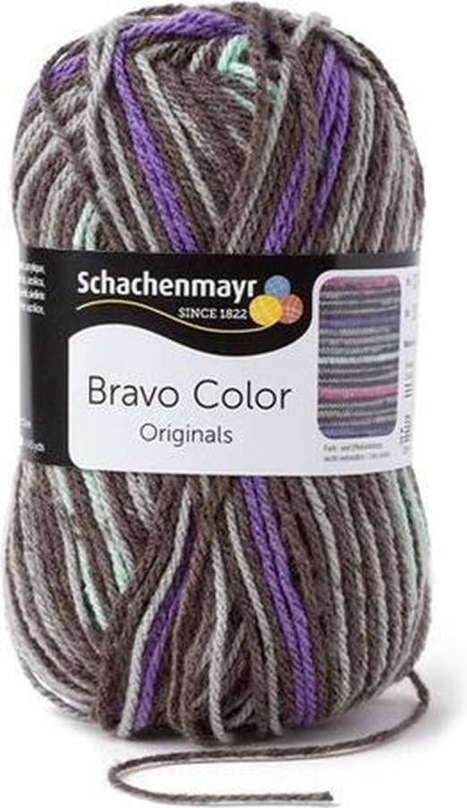 Schachenmayr Bravo Color 50 Gram 2107