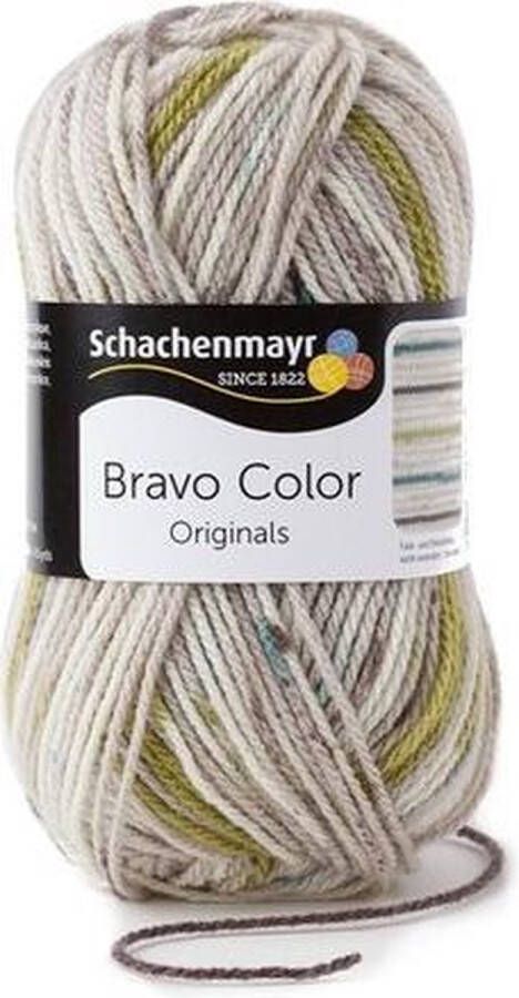 Schachenmayr Bravo Color 50 Gram 2108