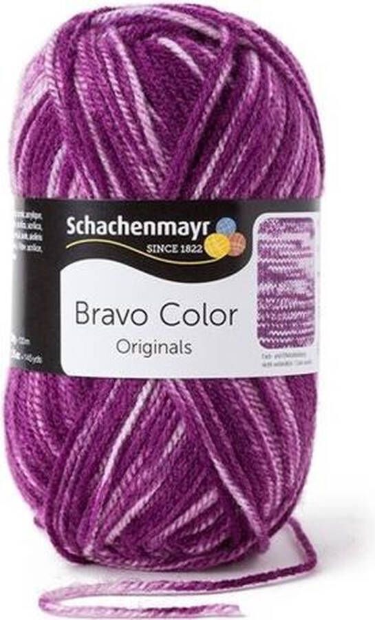 Schachenmayr Bravo Color 50 Gram 2112