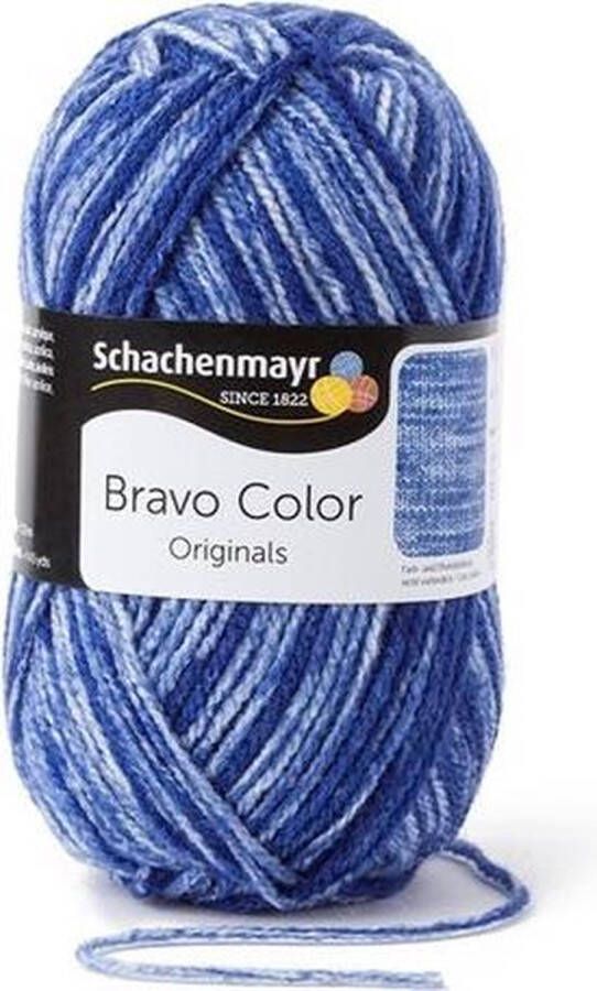 Schachenmayr Bravo Color 50 Gram 2113