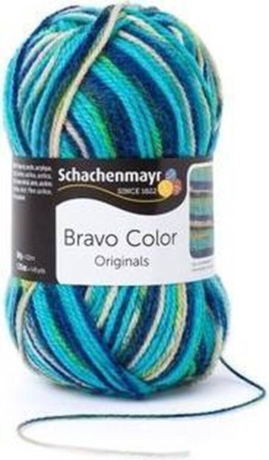 Schachenmayr Bravo Color 50 Gram 2119