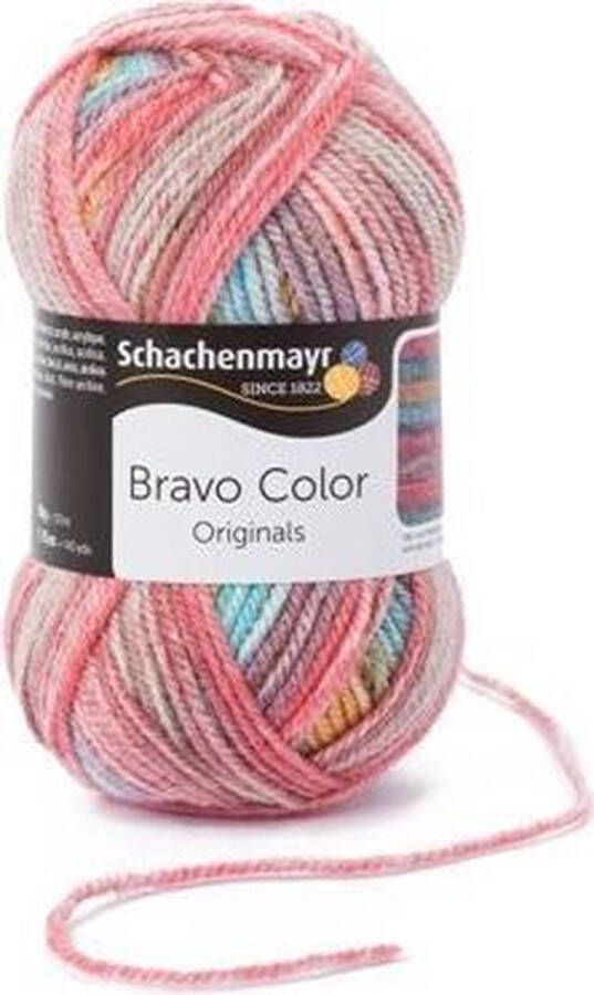 Schachenmayr Bravo Color 50 Gram 2120
