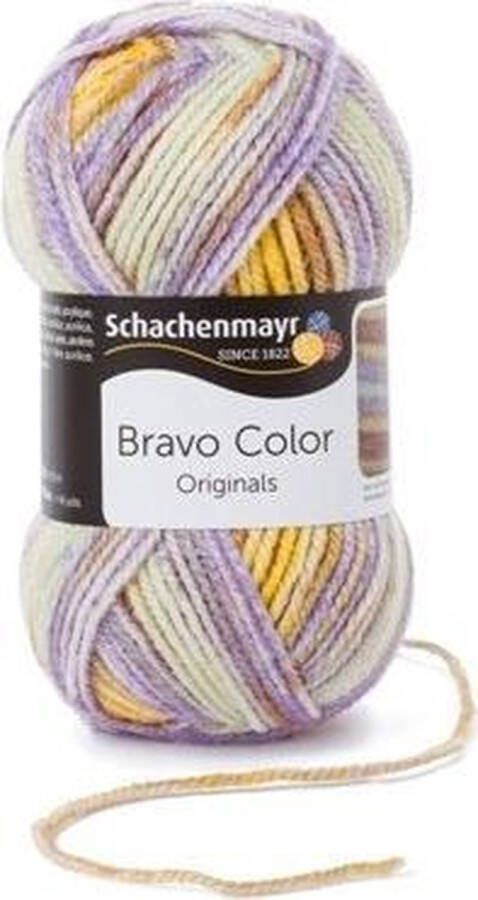 Schachenmayr Bravo Color 50 Gram 2121
