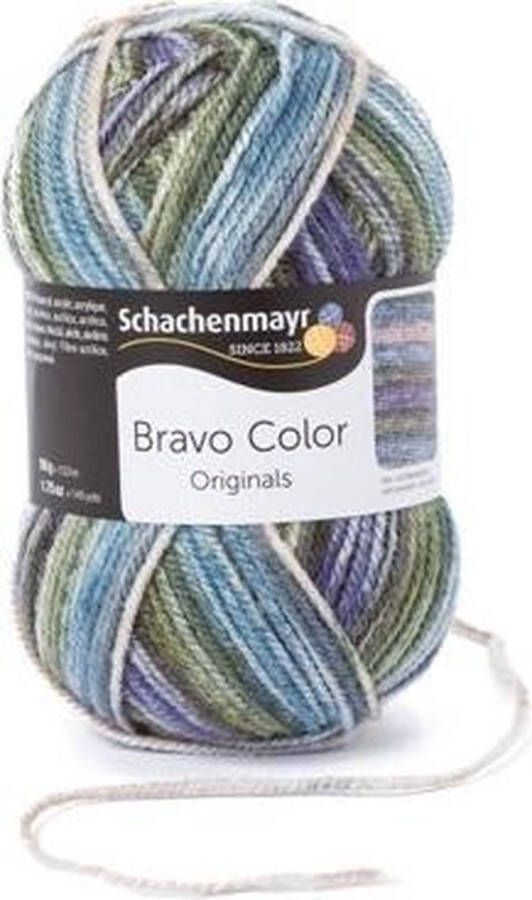 Schachenmayr Bravo Color 50 Gram 2122