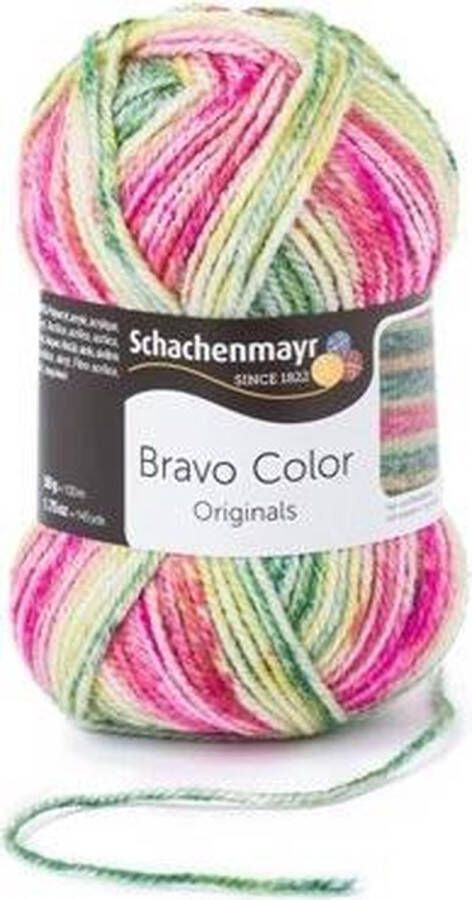 Schachenmayr Bravo Color 50 Gram 2123
