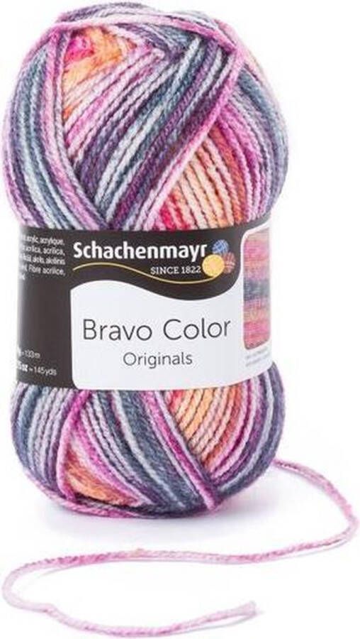 Schachenmayr Bravo Color 50 Gram 2124