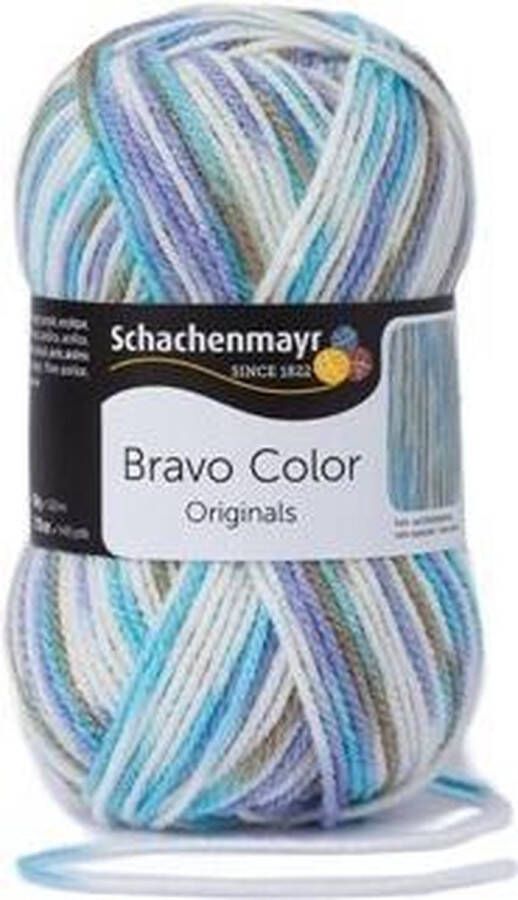 Schachenmayr Bravo Color 50 Gram 2125