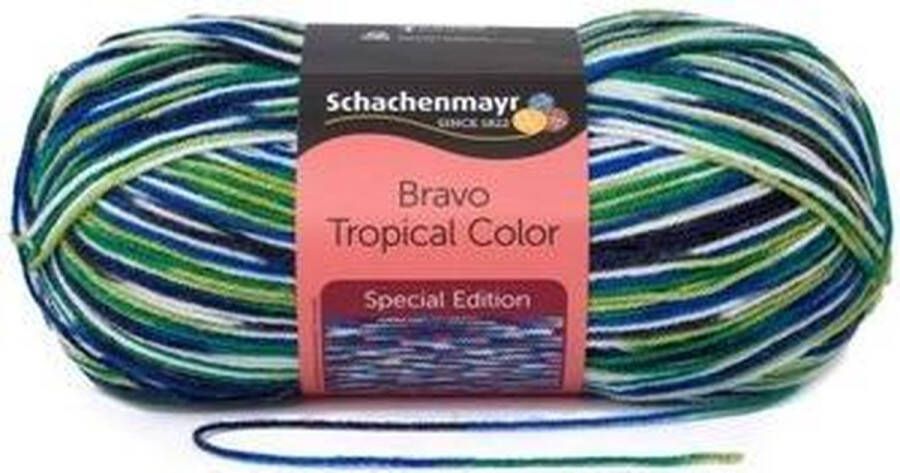 Schachenmayr Bravo Color 50 Gram 2130