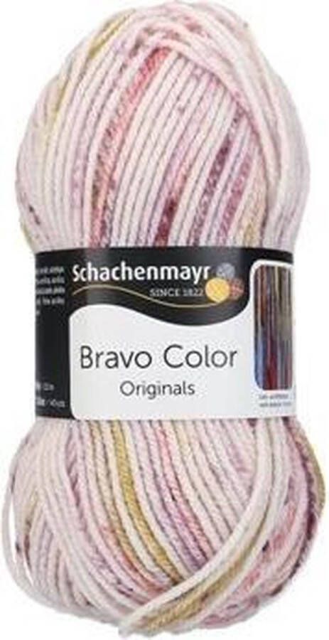Schachenmayr Bravo Color 50 Gram 2138
