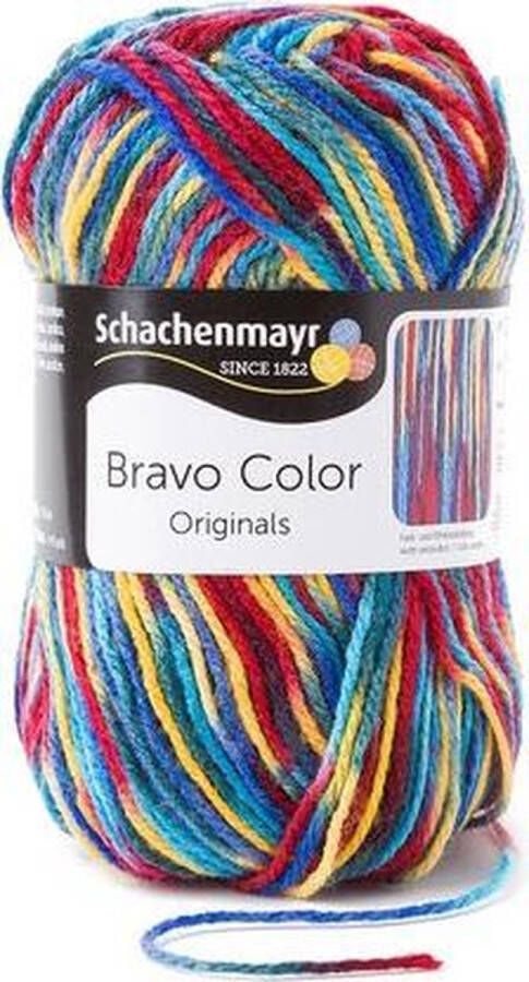 Schachenmayr Bravo Color 50 Gram 95