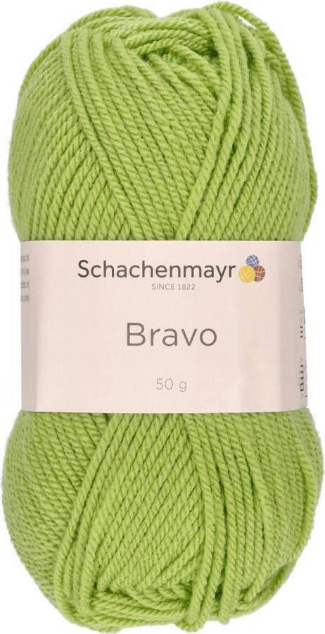 Schachenmayr Bravo Wol 50 gram Groen