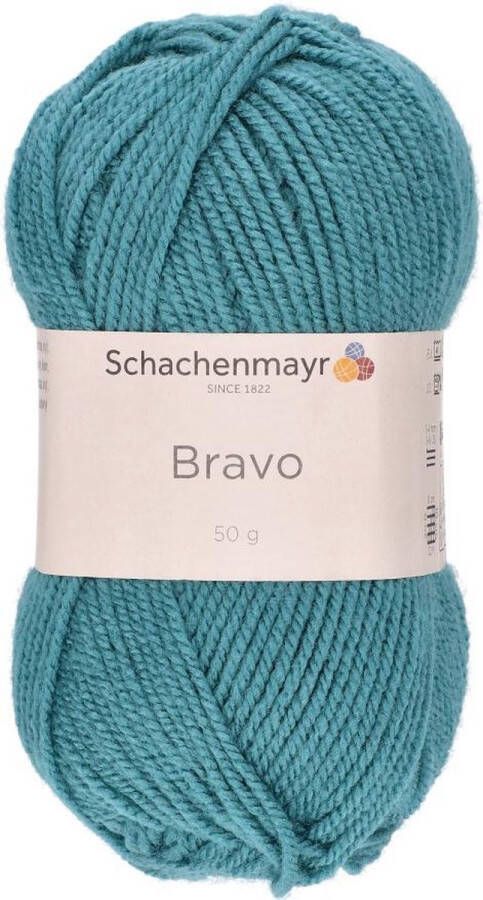 Schachenmayr Bravo Wol 50 gram Groen Blauw