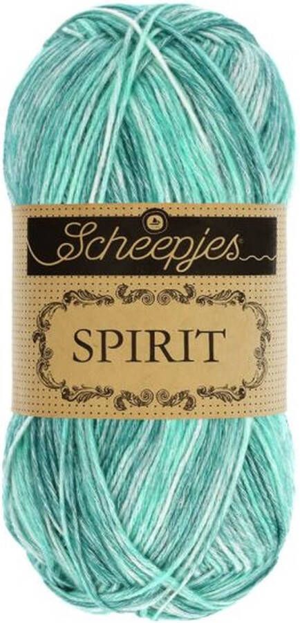 Scheepjes Spirit 50gr 308 Turtle