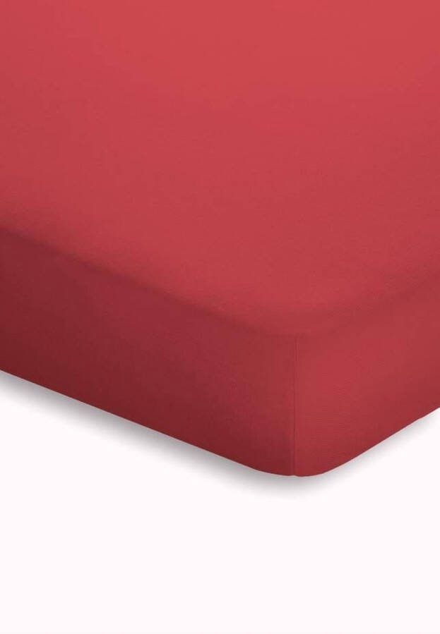 Merkloos Schlafgut jersey stretch topper hoeslaken 95% gebreide katoen 5% elastan Lits-jumeaux (180 200x200 220 cm) Rood