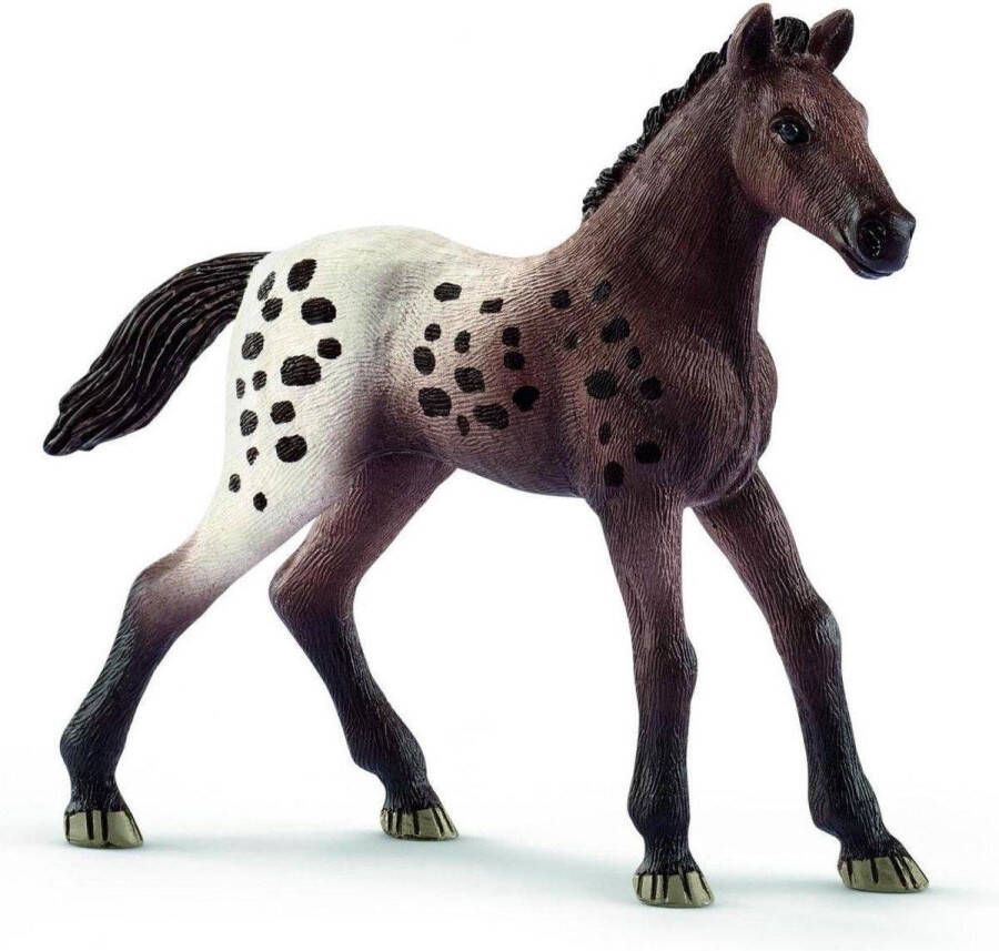 Schleich Appaloosa Veulen 13862