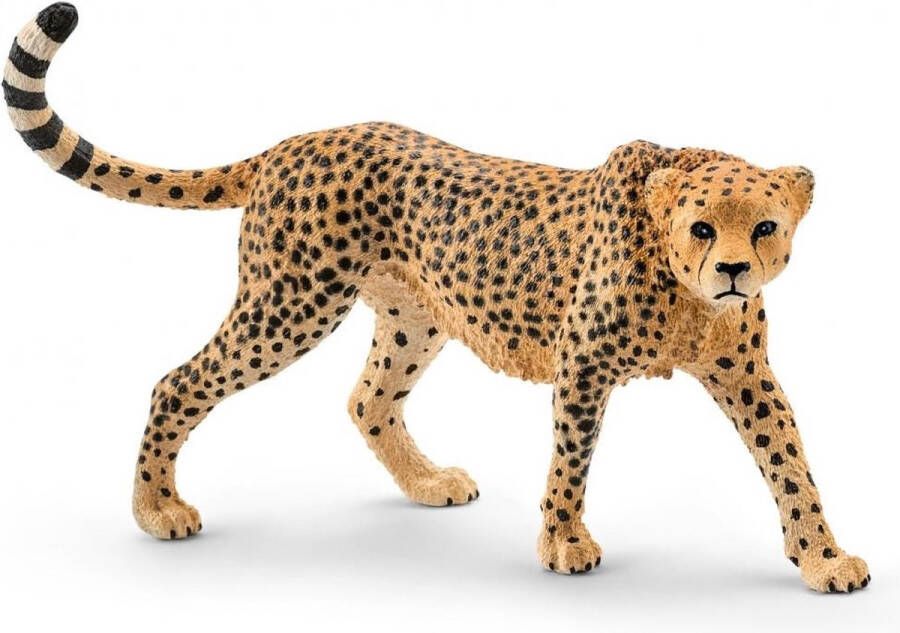 Schleich 17056 Wild Life Cheeta