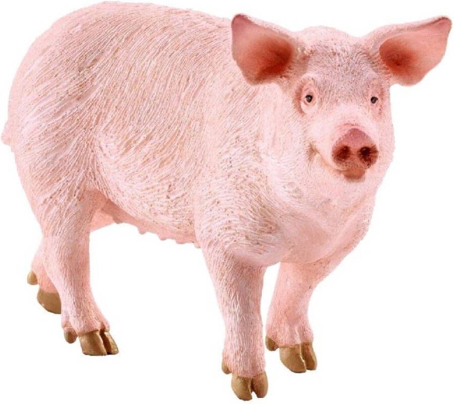 Schleich 17071 Varken Zeug