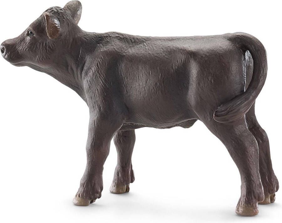 Schleich Angus Kalfje 13768