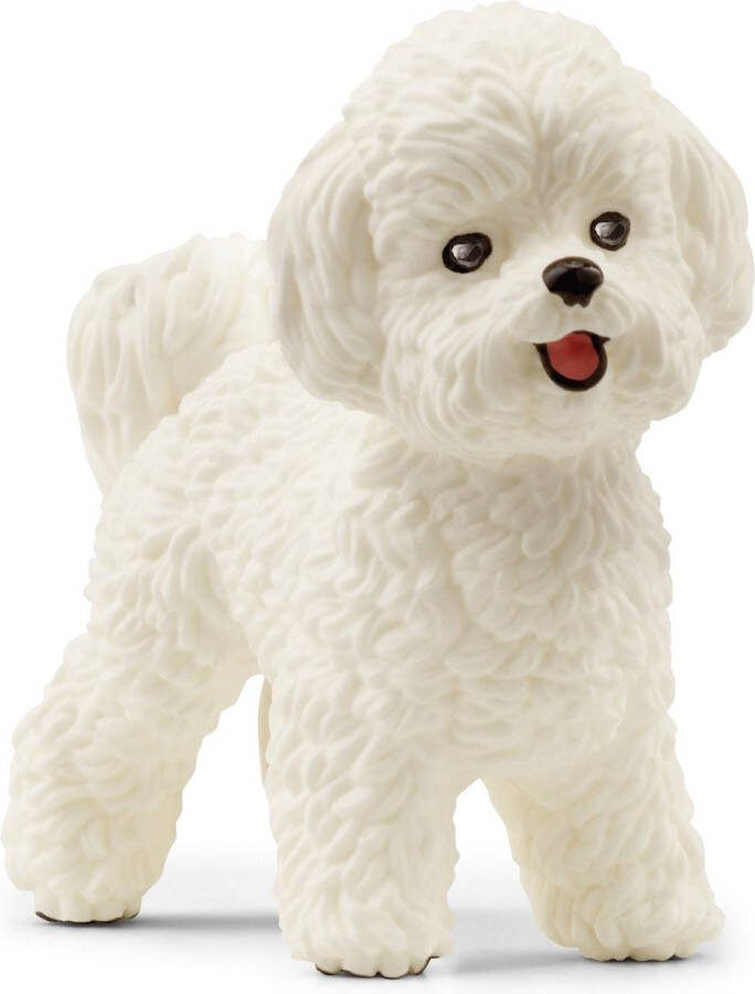 Schleich FARM WORLD Bichon frisÃ© 13963