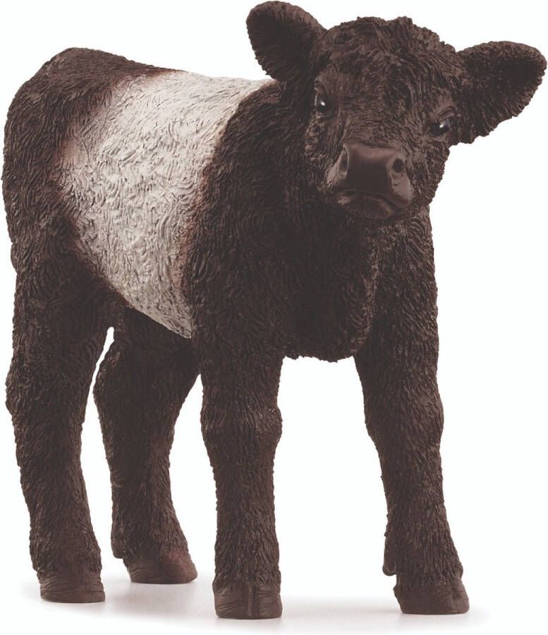 Schleich FARM WORLD Galloway kalf 13969