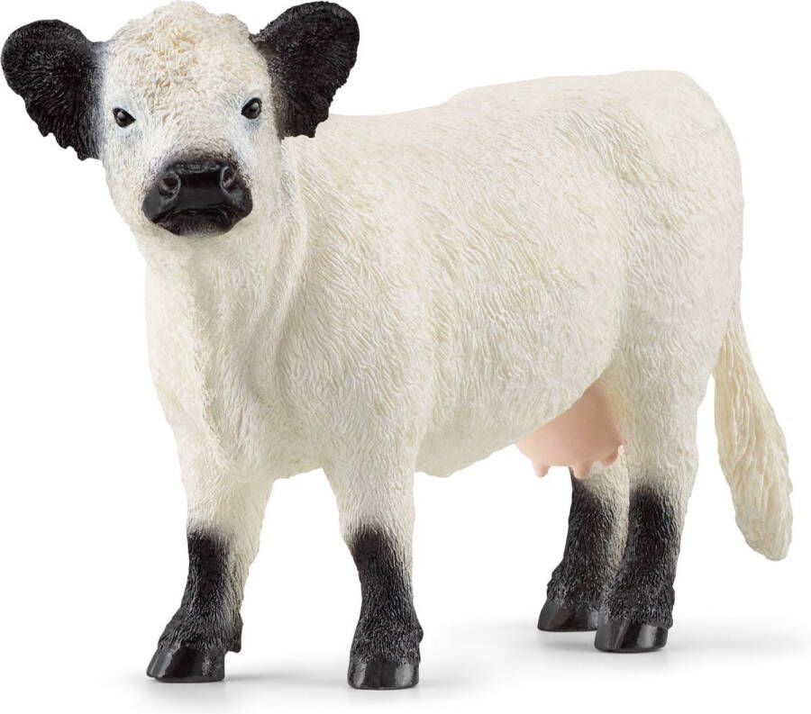 Schleich FARM WORLD Gallowaykoe 13960
