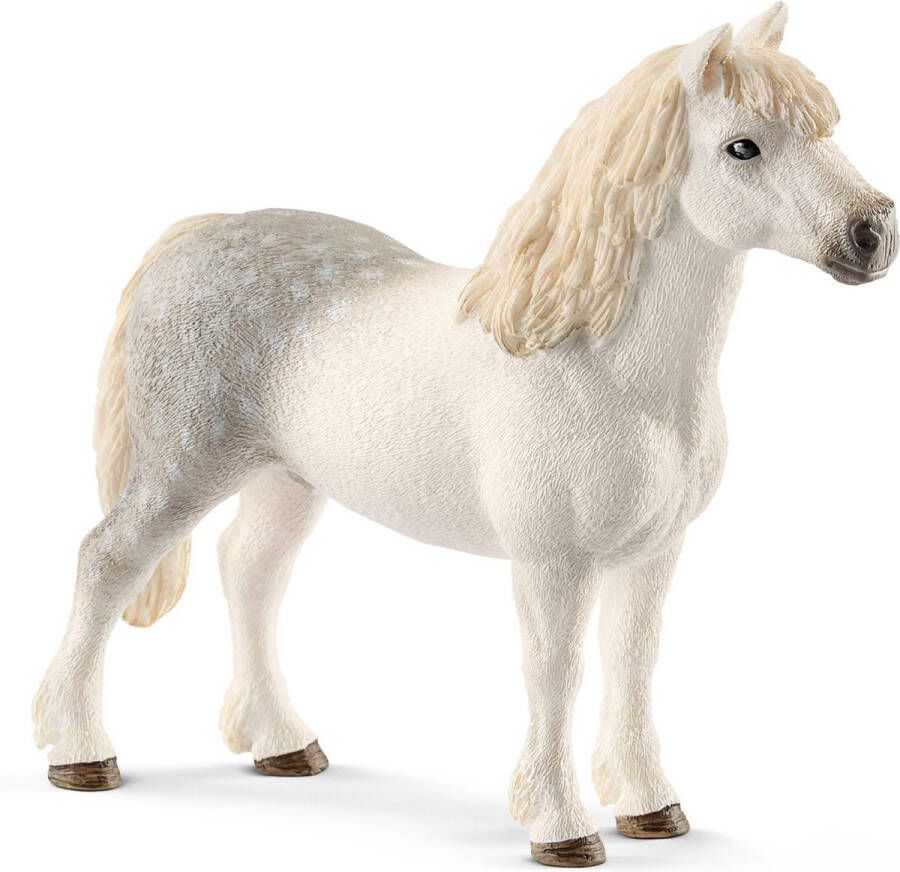 Schleich FARM WORLD Welsh Pony Hengst Speelfiguur Kinderspeelgoed voor Jongens en Meisjes 3 tot 8 jaar 13871