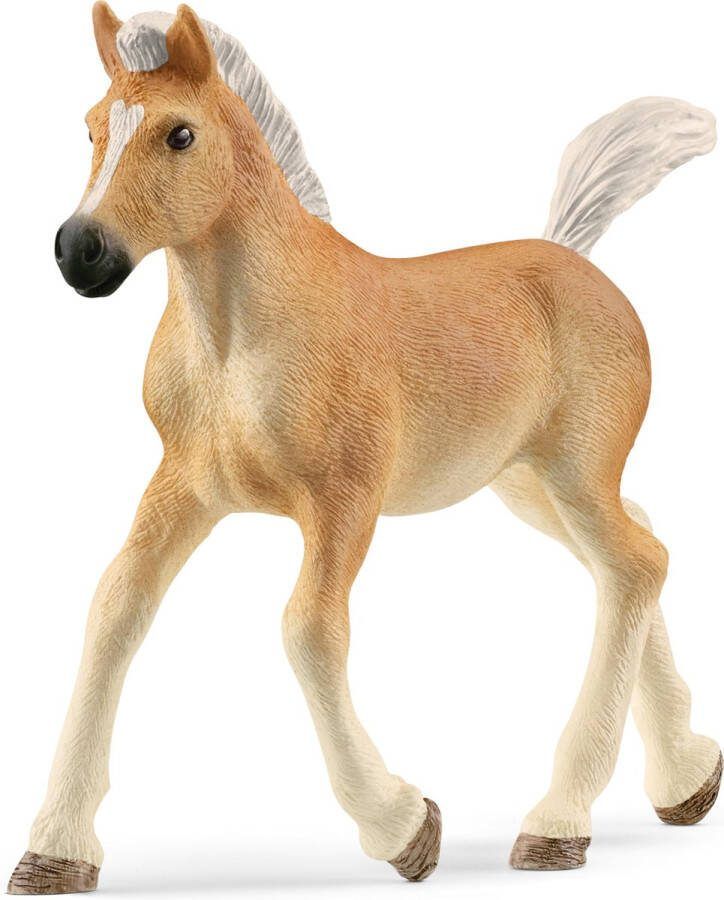 Schleich HORSE CLUB Haflingerveulen 13951