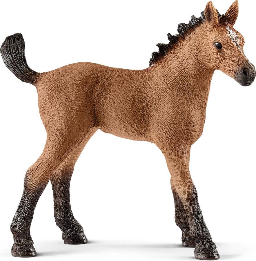 Schleich HORSE CLUB Quarter Horse veulen Speelfiguur Kinderspeelgoed voor Jongens en Meisjes 5 tot 12 jaar 13854