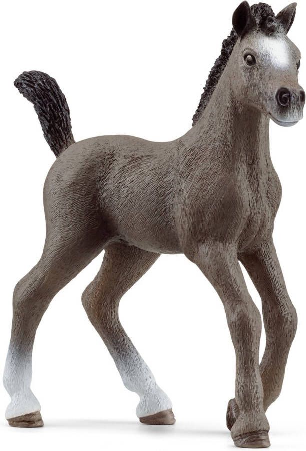 Schleich HORSE CLUB Selle FranÃ§ais-veulen 13957