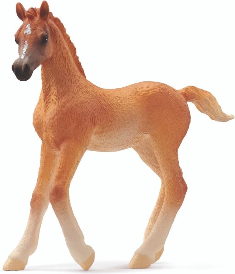 Schleich HORSE CLUB Arabisch veulen 13984