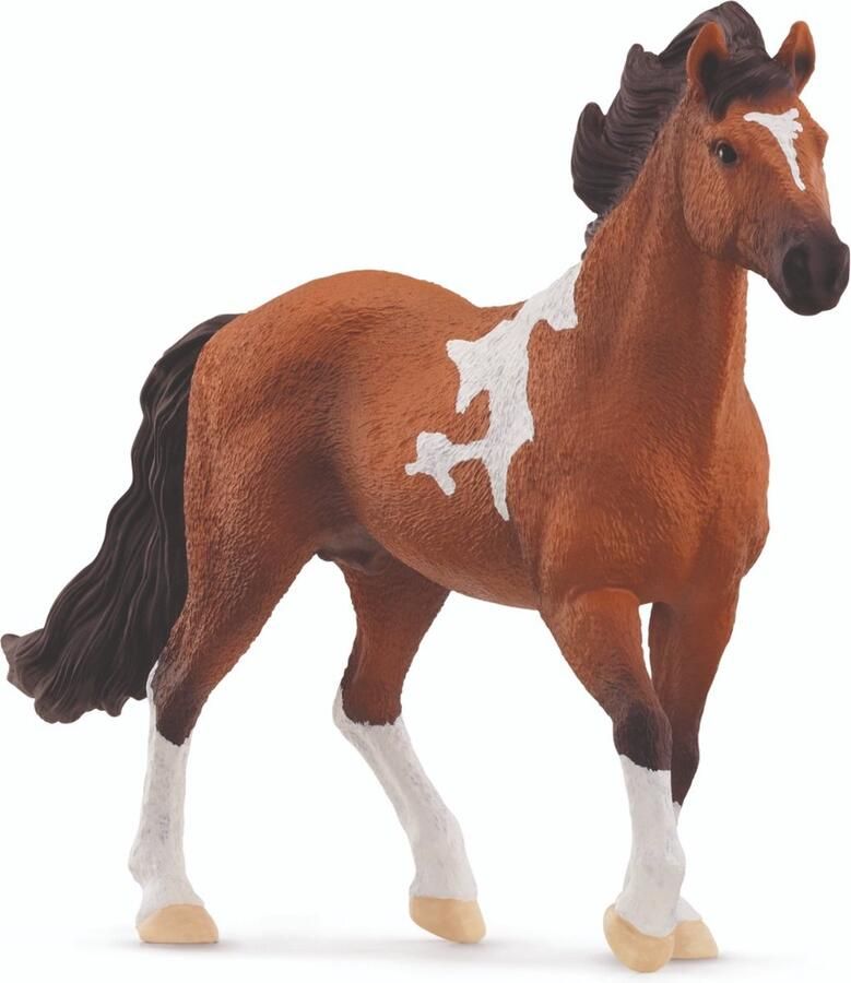 Schleich HORSE CLUB Mangalarga Marchador Hengst 13978