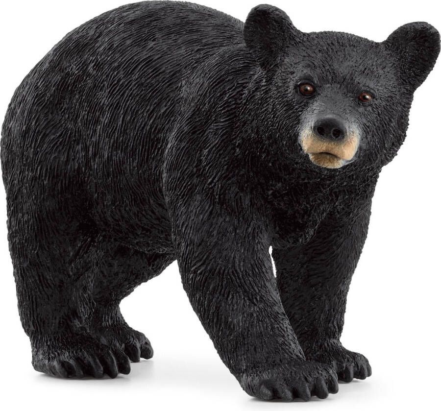 Schleich WILD LIFE Amerikaanse Zwarte Beer 14869