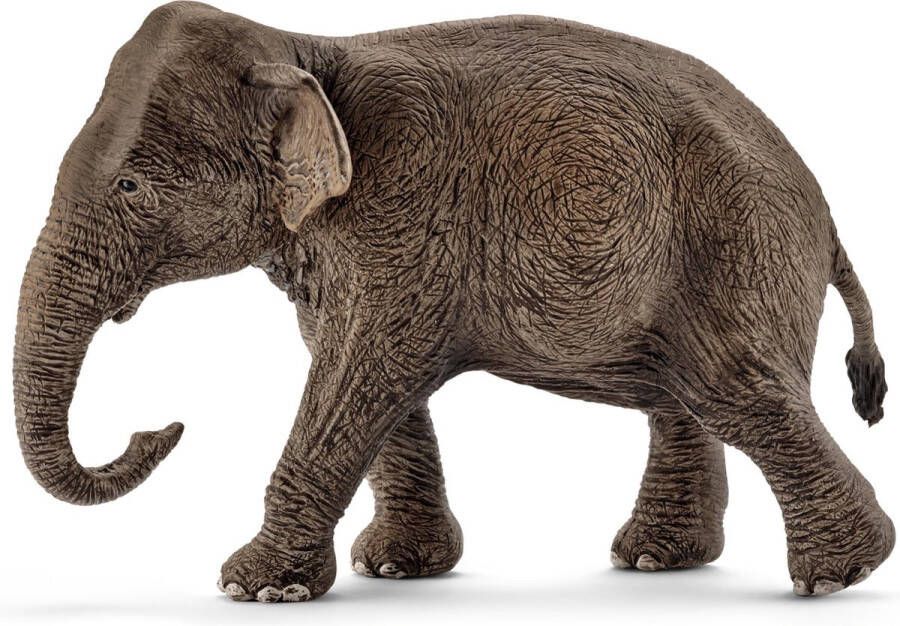 Schleich WILD LIFE Aziatische olifantenkoe Speelfiguur Kinderspeelgoed voor Jongens en Meisjes 3 tot 8 jaar 14753